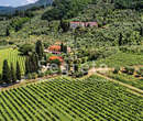Tenuta Mariani - Vigna di Massaciuccoli, Massarosa (LU) - Vigna di Pinot Nero e Chardonnay - Segreto Brut Metodo Classico