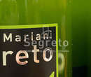 TENUTA MARIANI - Olio Segreto Biologico - Olivi sulle Colline di Massarosa e Massaciuccoli