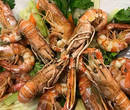 RISTORANTE DONATELLA - Vasto Menù con Piatti di Mare - Loc. Quiesa, Massarosa (LU)