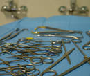 AMBULATORIO VETERINARIO ASSOCIATO SAN FRANCESCO - Santa Croce sull'Arno (PI) - Sala Visite