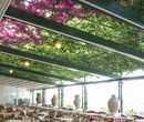 Versiltenda Italia - Massarosa - Pergole in Legno Modello Tecnicwood