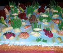 Pasticceria Gherardi - Torte di Compleanno - Massarosa (LU) 