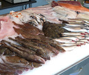 Frigo Viareggio Srl - Pesce Freschissimo - Massarosa (LU)
