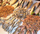 Frigo Viareggio Srl - Vasta Scelta di Pesce Fresco - Massarosa (LU) 