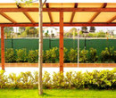 TELONI CALIMERO - Gazebo, Terrazzi, Capannoni e Copri Barca - Pontedera (PI)