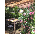 NORCINERIA BARSANTI - Ampio Spazio Estivo - Località Cardoso, Stazzema (LU)