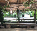 Ristorante NORCINERIA BARSANTI aperto da Aprile a Ottobre - Località Cardoso, Stazzema (LU)